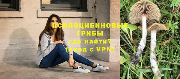 гидра Алексин