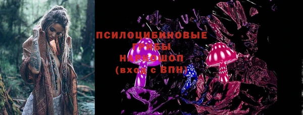 спиды Алзамай