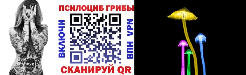 Галлюциногенные грибы Magic Shrooms  продажа наркотиков  Яровое 